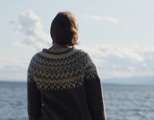 Kortfilm Storsjöodjuret